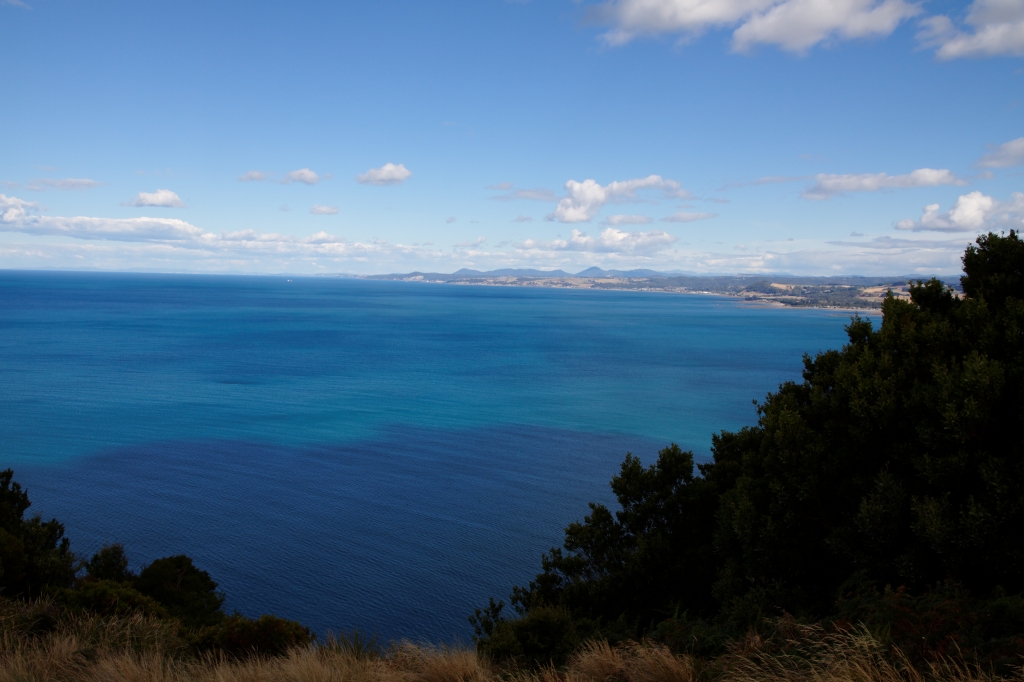 22 - Wynyard (3).jpg